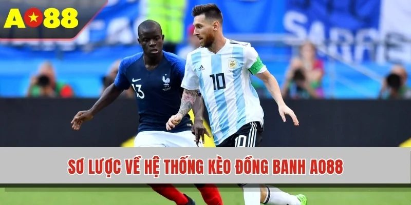 Sơ lược về hệ thống kèo đồng banh AO88
